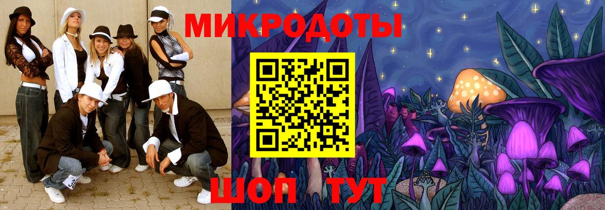Псилоцибиновые грибы Psilocybine cubensis Хабаровск