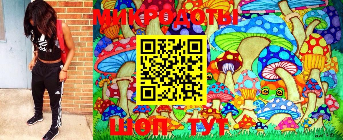 Галлюциногенные грибы Psilocybine cubensis  Хабаровск 