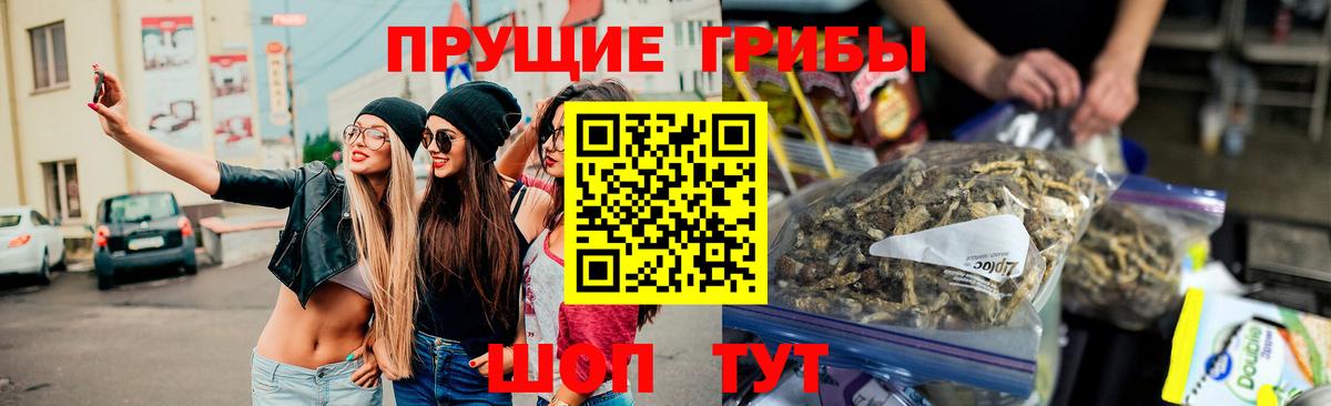 Хабаровск  Галлюциногенные грибы MAGIC MUSHROOMS  Вход с VPN 