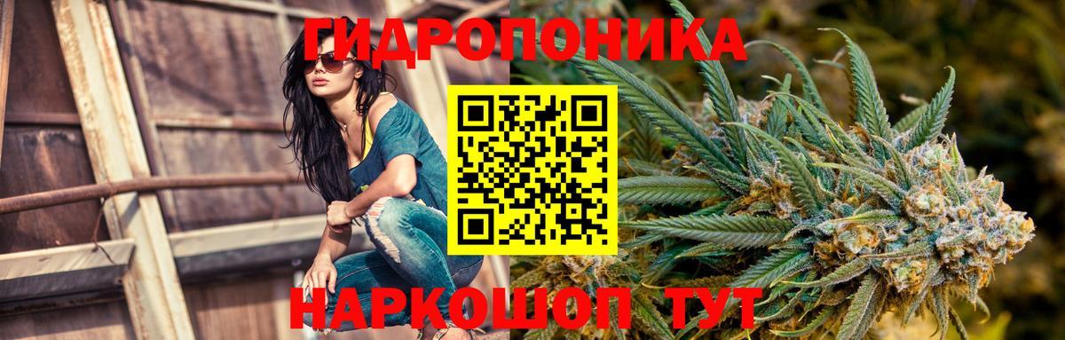 Конопля планчик  Вход с VPN  Конопля Ganja  Хабаровск 